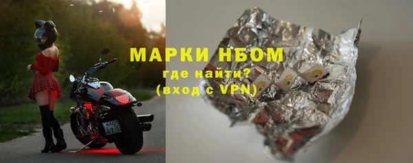 прущие грибы Бородино
