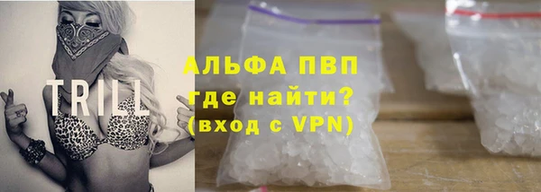 прущие грибы Бородино