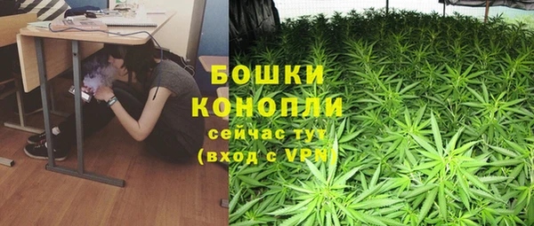 хмурый Богородск