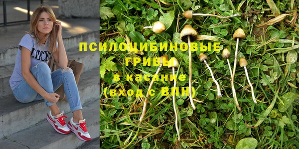 соль курить ск Богданович