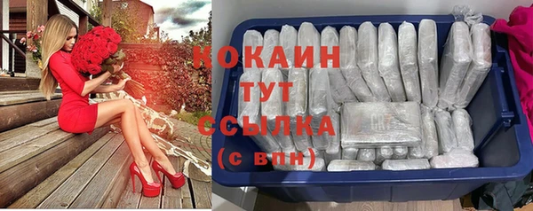 хмурый Богородск