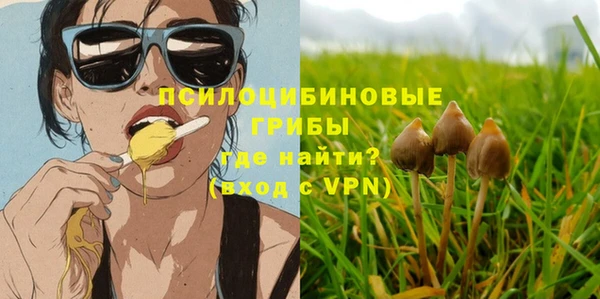 хмурый Богородск
