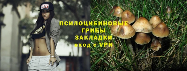соль курить ск Богданович
