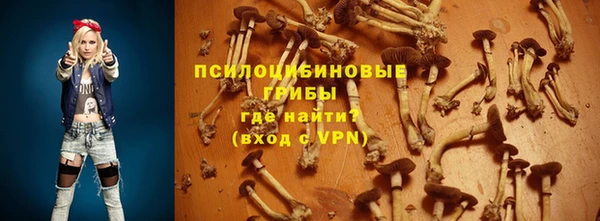 сатива Богородицк