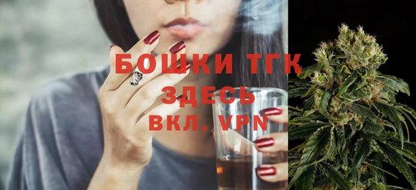 сатива Богородицк