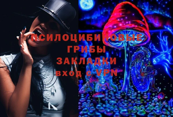 сатива Богородицк