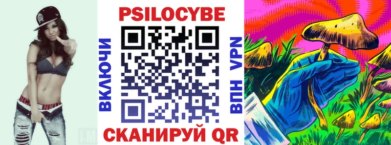 Галлюциногенные грибы мицелий  где можно купить   Тайга 